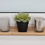 شقة Bright With Private Garden And Accepting Pets By Renters *
