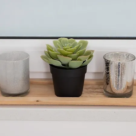 Apartamento Bright With Private Garden And Accepting Pets By Renters *