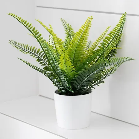 Bright With Private Garden And Accepting Pets By Renters Apartment Danzig