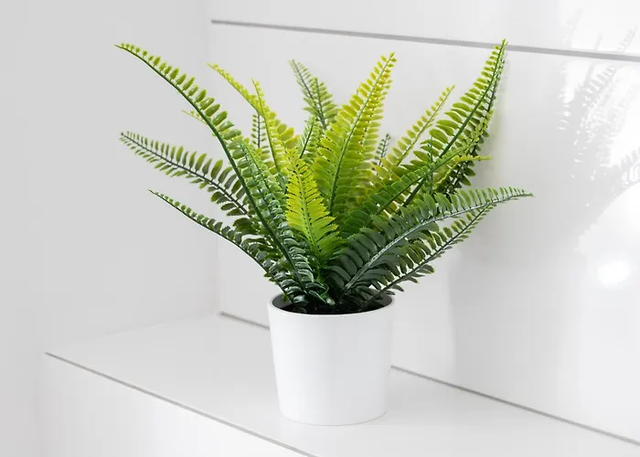 Bright With Private Garden And Accepting Pets By Renters Appartamento Danzica